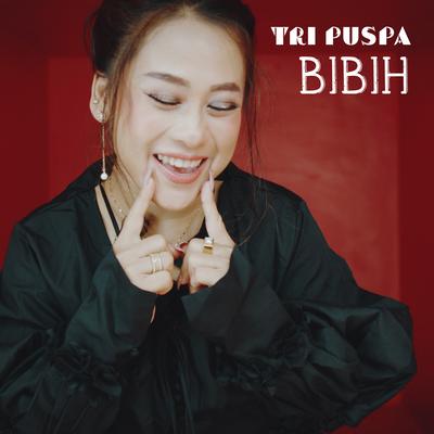 Bibih's cover