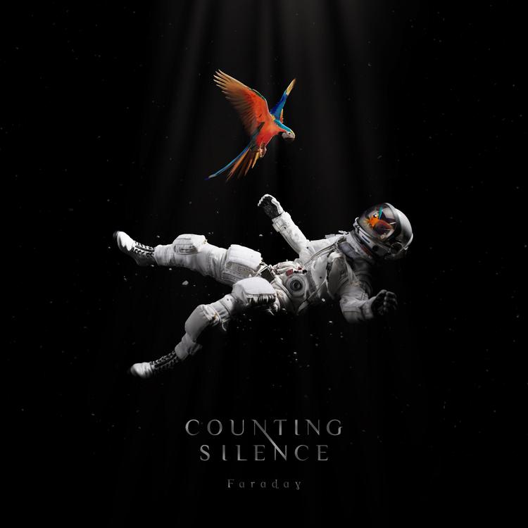 Counting Silence's avatar image