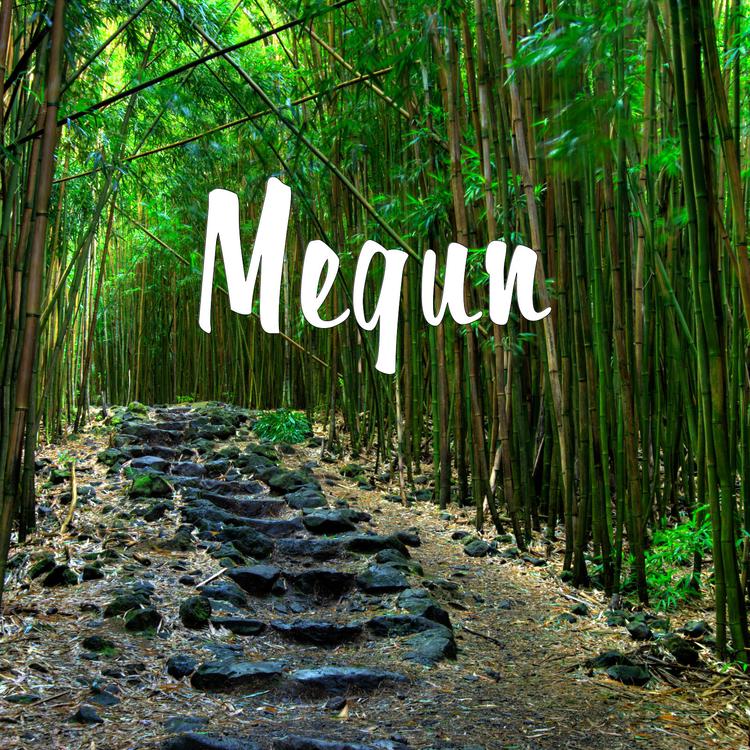 Megun's avatar image