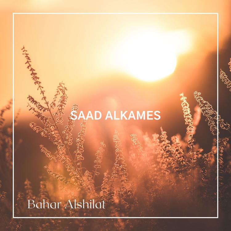 Bahar Alshilat's avatar image