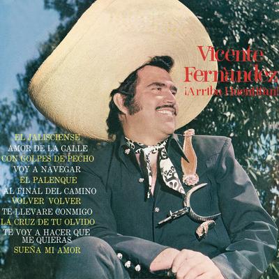 Te Voy A Hacer Que Me Quieras (Album Version) By Vicente Fernández's cover