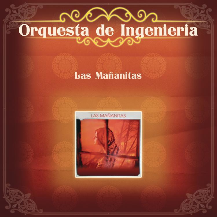 Orquesta De Ingeniería's avatar image