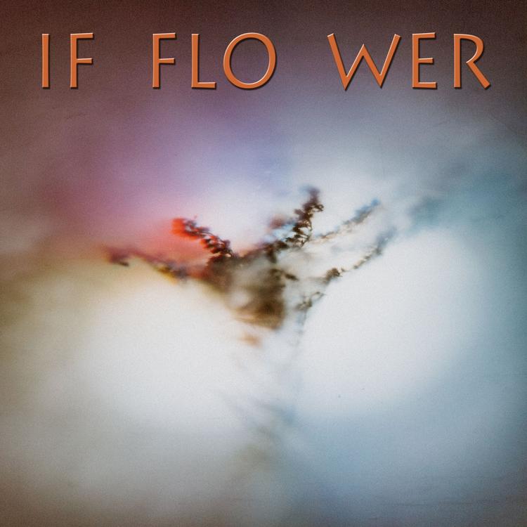 IF FLO WER's avatar image