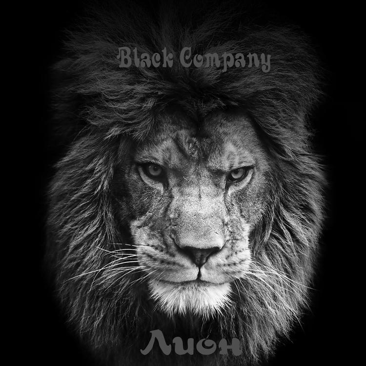 Black Company's avatar image