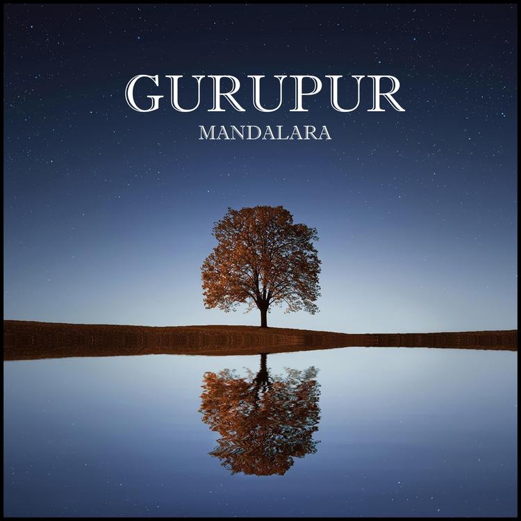 Gurupur's avatar image