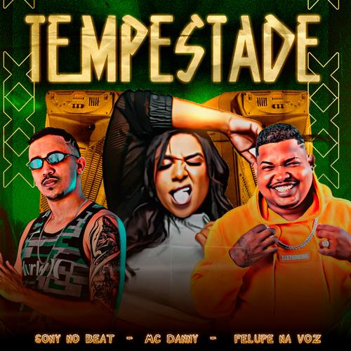 Parecia Tempestade's cover