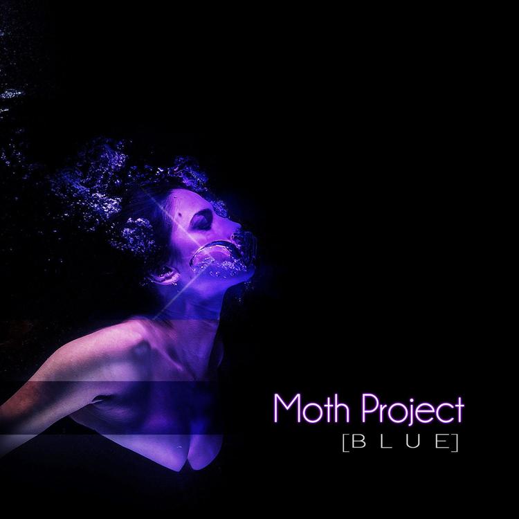 Moth Project's avatar image