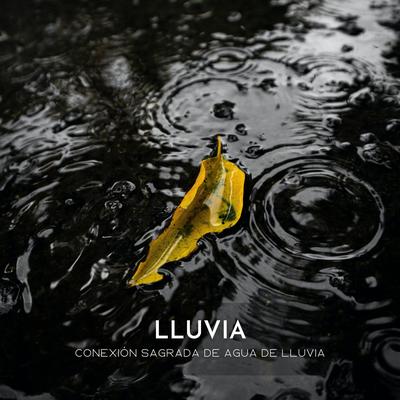 La Caída De La Nube's cover