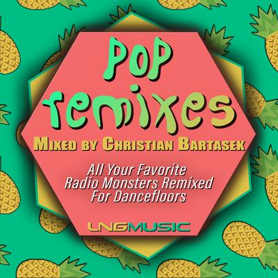 Pop Remixes Megamix (Continuous Mix)'s cover