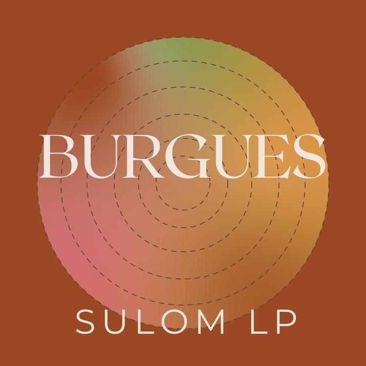 Sulom LP's avatar image