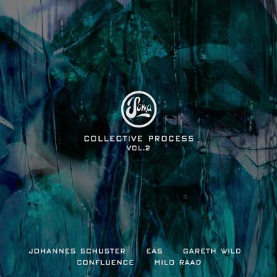 Collective Process Vol.2's cover