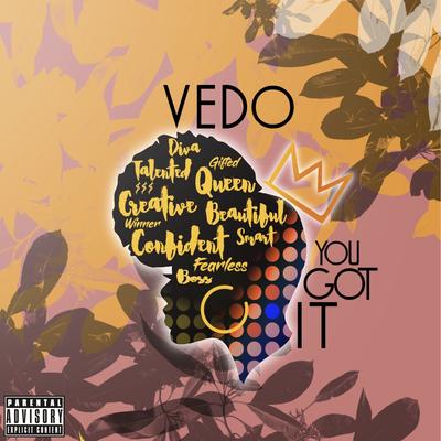You Got It By Vedo's cover