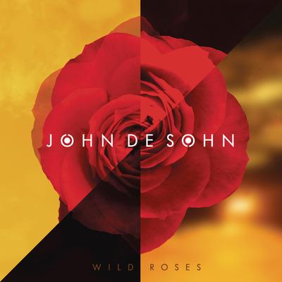 Wild Roses (Radio Edit) By John De Sohn's cover