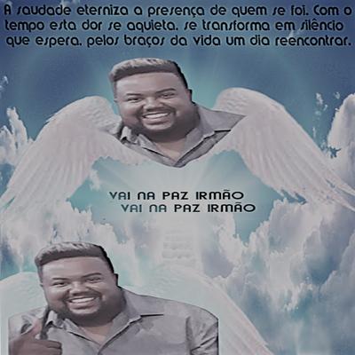 Vai na Paz Irmão's cover
