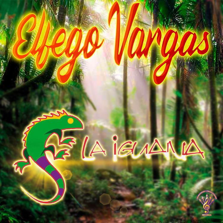 El Fego Vargas's avatar image