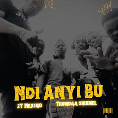 Ndi Anyi Bú's cover