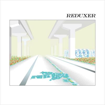 Reduxer's cover