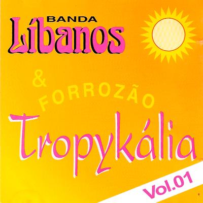 Mel Melado By Banda Líbanos, Forrozão Tropykalia's cover