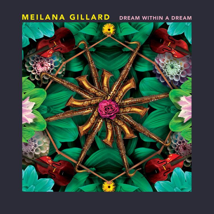 Meilana Gillard's avatar image