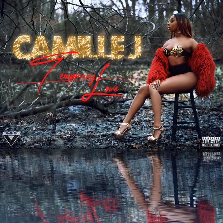 Camille J's avatar image
