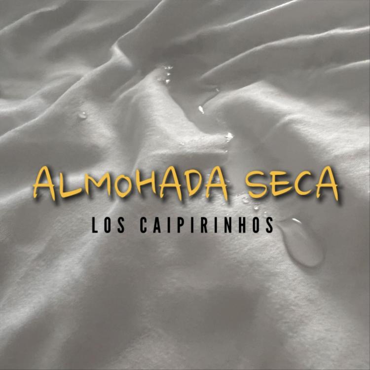 Los Caipirinhos's avatar image