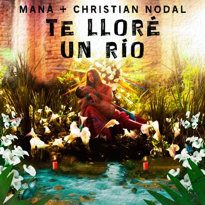 Te Lloré Un Río By Christian Nodal, Maná's cover