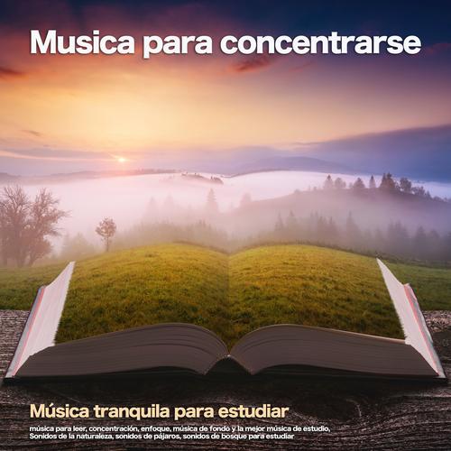 Estudiar Musica: Música relajante para estudiar, música para leer, música  para enfoque profundo y música de fondo, Vol. 2 Official TikTok Music