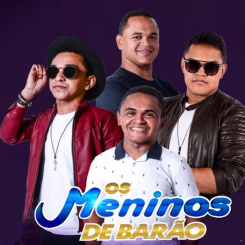 Meninos de barão melhores's cover