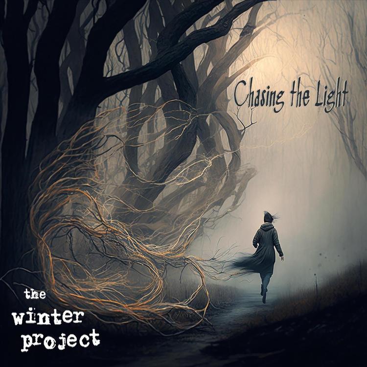 The Winter Project's avatar image