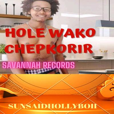 SUNSAID HOLLYBOII's cover