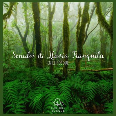 Sonidos de Lluvia Tranquila en el Bosque's cover