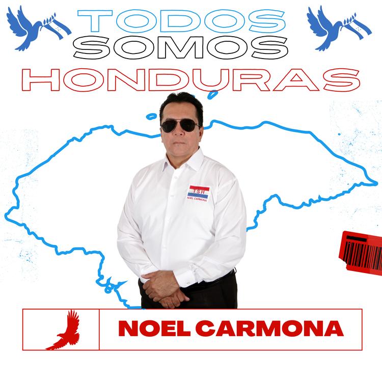 Noel Carmona's avatar image