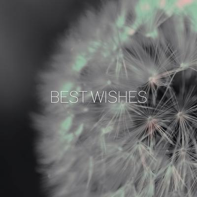 Best Wishes By Akaona's cover