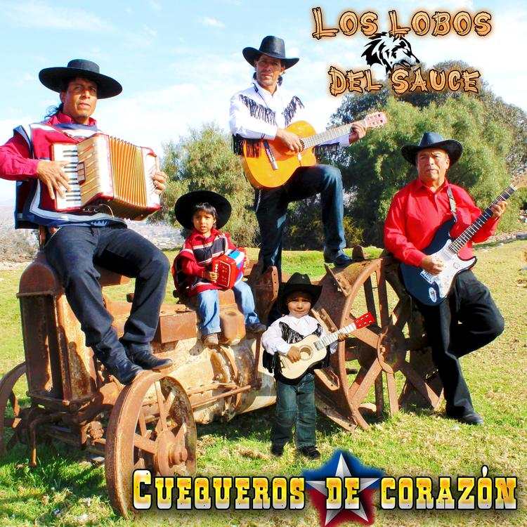 Los Lobos Del Sauce's avatar image