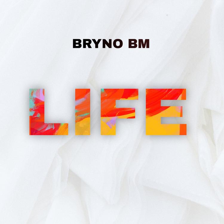 Bryno BM's avatar image