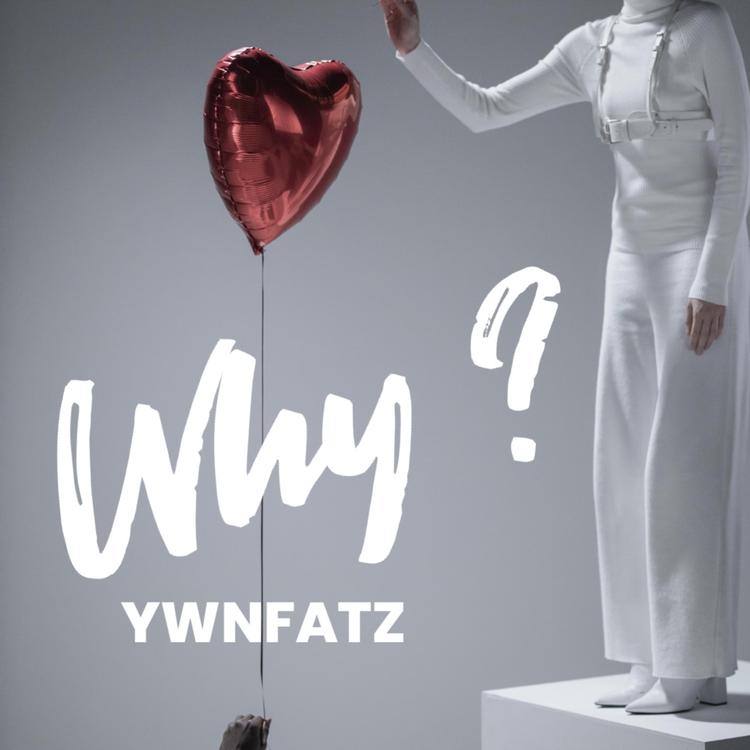 YwnFatz's avatar image