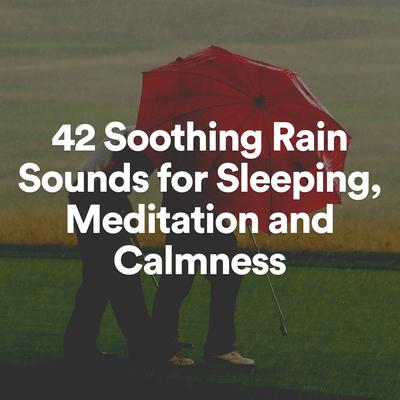 Gentle Nature Soothing Sounds of Rain, Pt. 15's cover