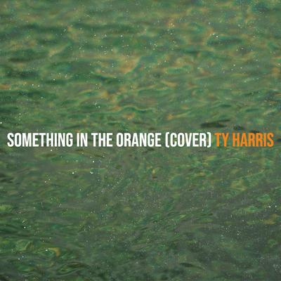 Something in the Orange (Cover) By Ty Harris's cover