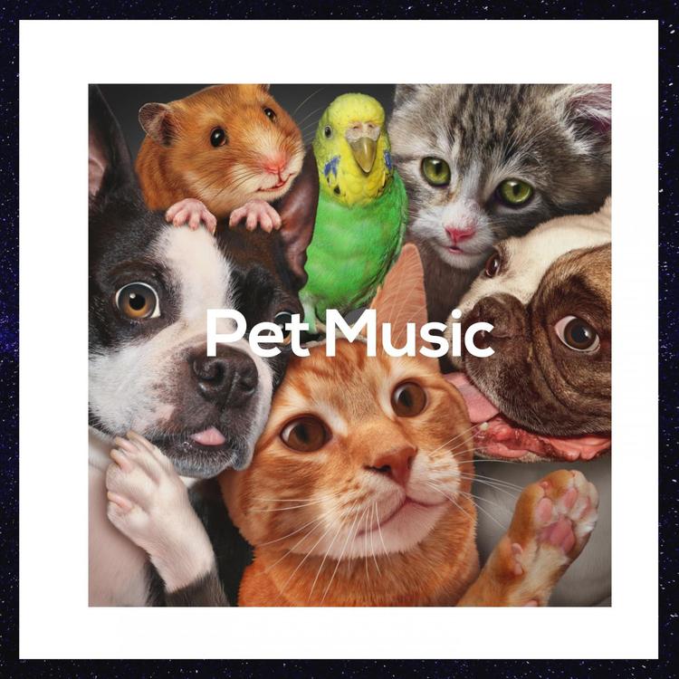 Music for Pets Library's avatar image