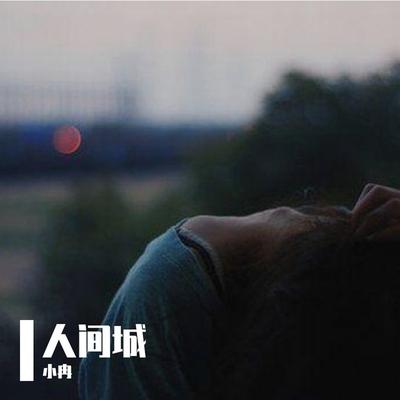 人间城 (Remix)'s cover