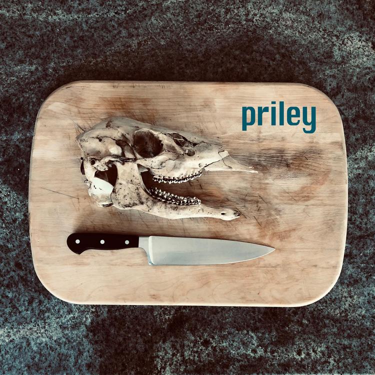 Priley's avatar image
