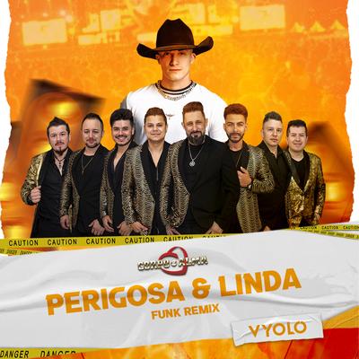 Perigosa e Linda (Remix)'s cover