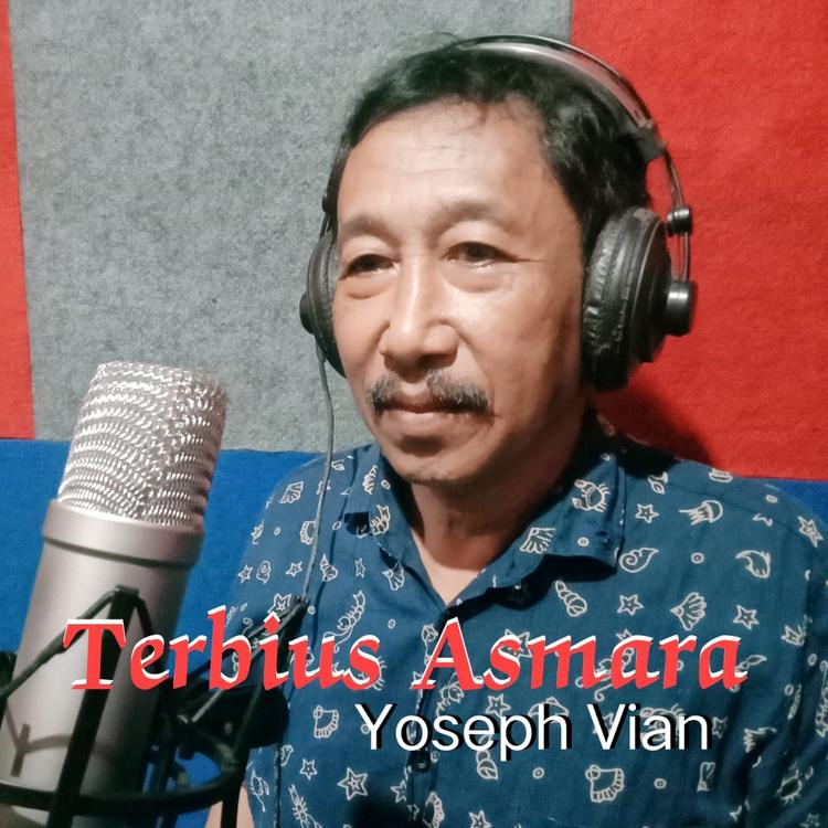 Yoseph Vian's avatar image