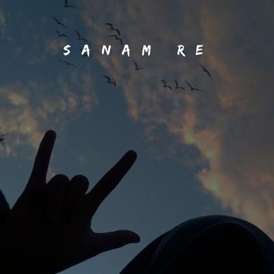 Sanam Re's cover