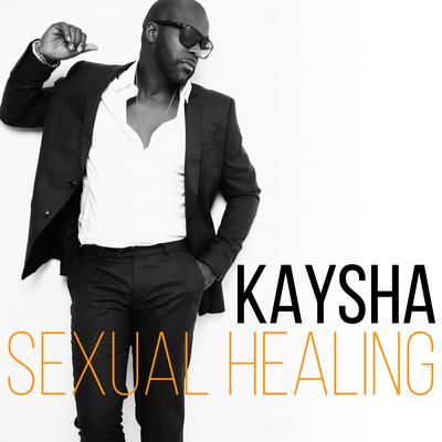 Sexual Healing By Kaysha's cover