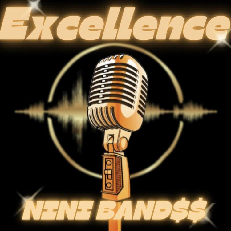 Nini Band$$'s avatar image