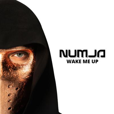 Wake Me Up By NUMJA's cover