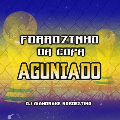 Forrozinho da Copa Aguniado's cover