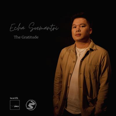 The Gratitude (Live)'s cover