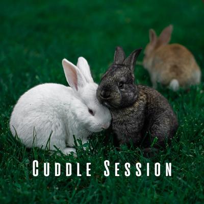 Cuddle Session: Binaural Love for Pets's cover